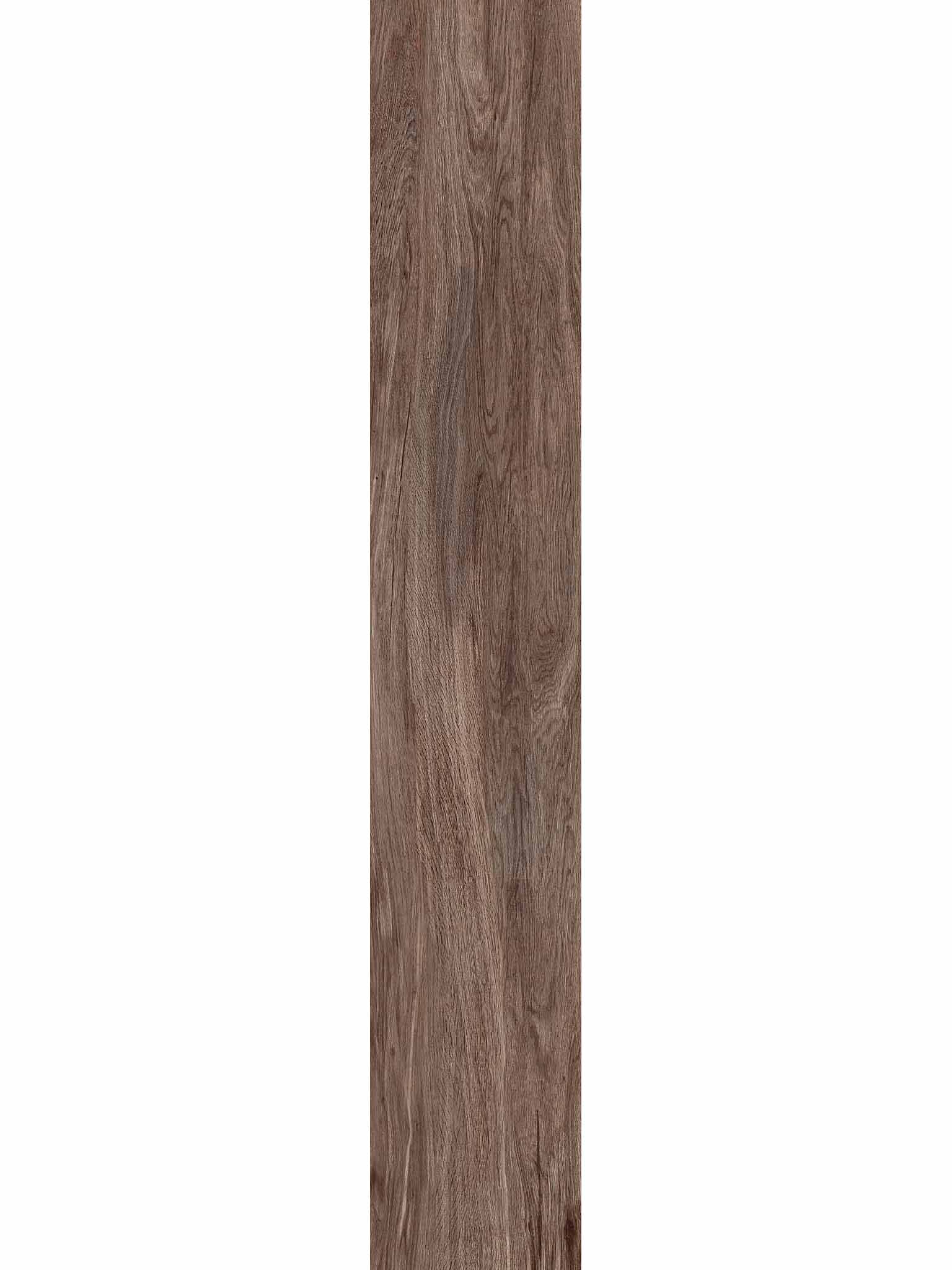 Face 5
