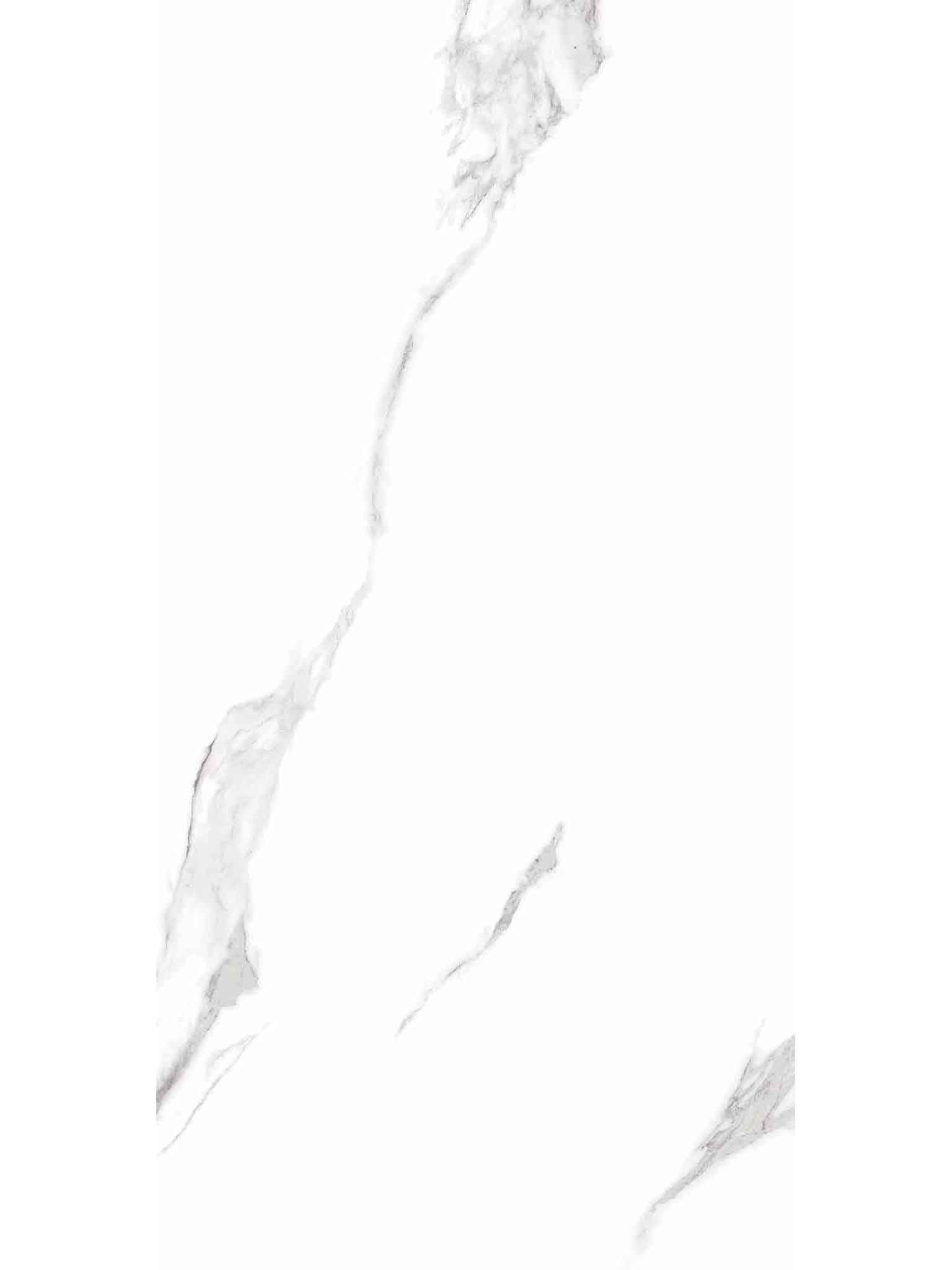 Face 6
