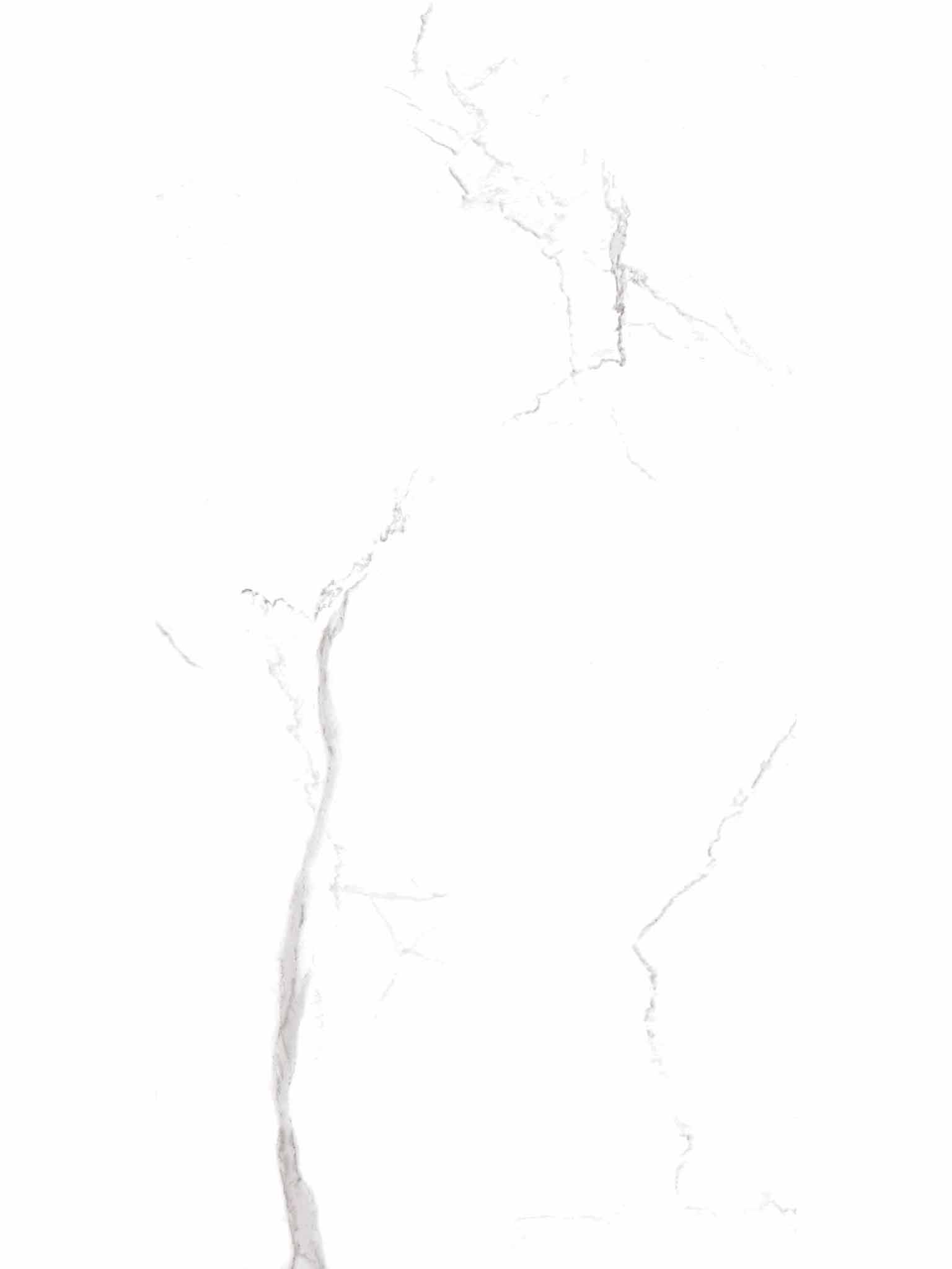 Face 5