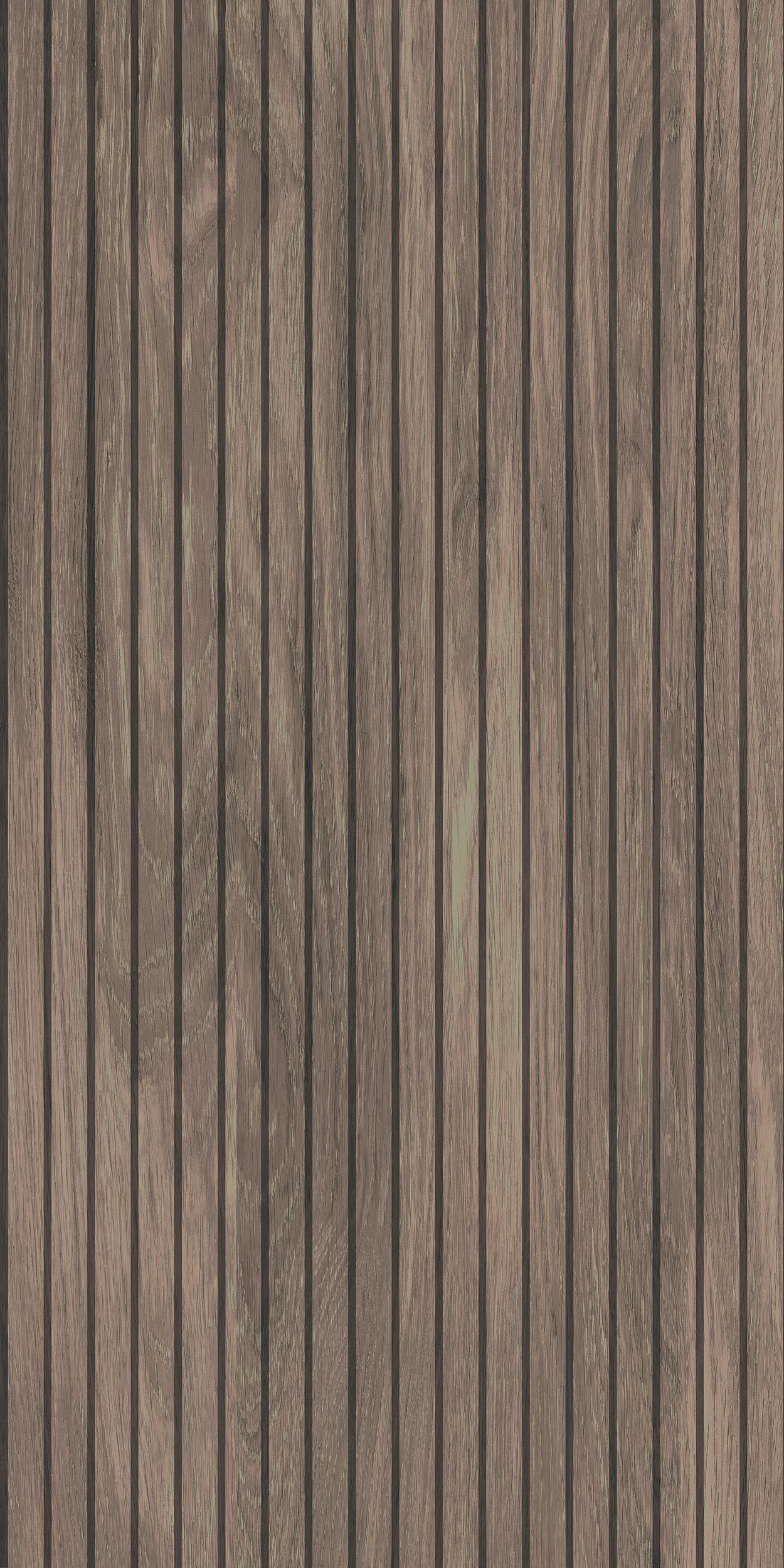 Face 3