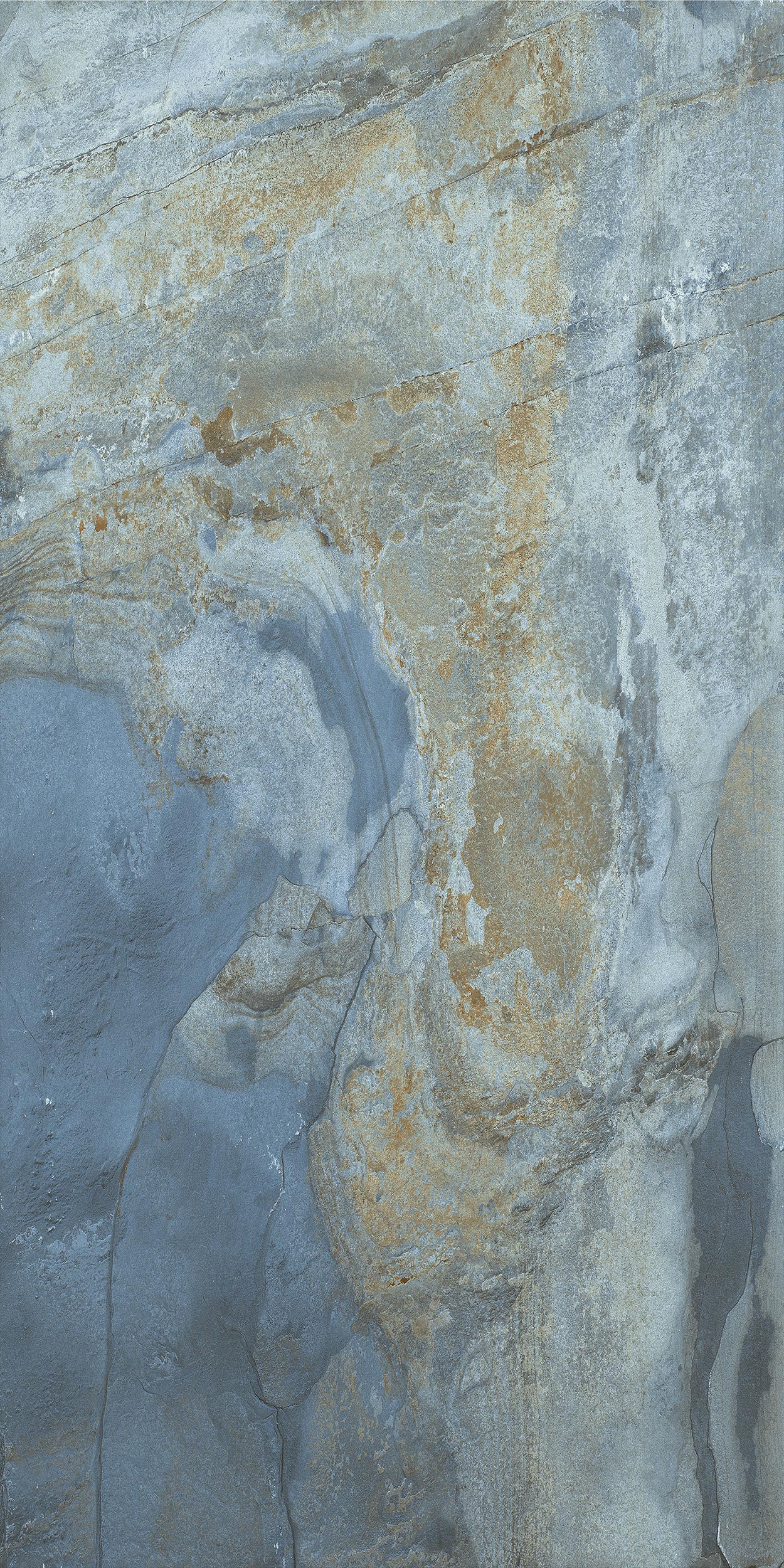 Face 3