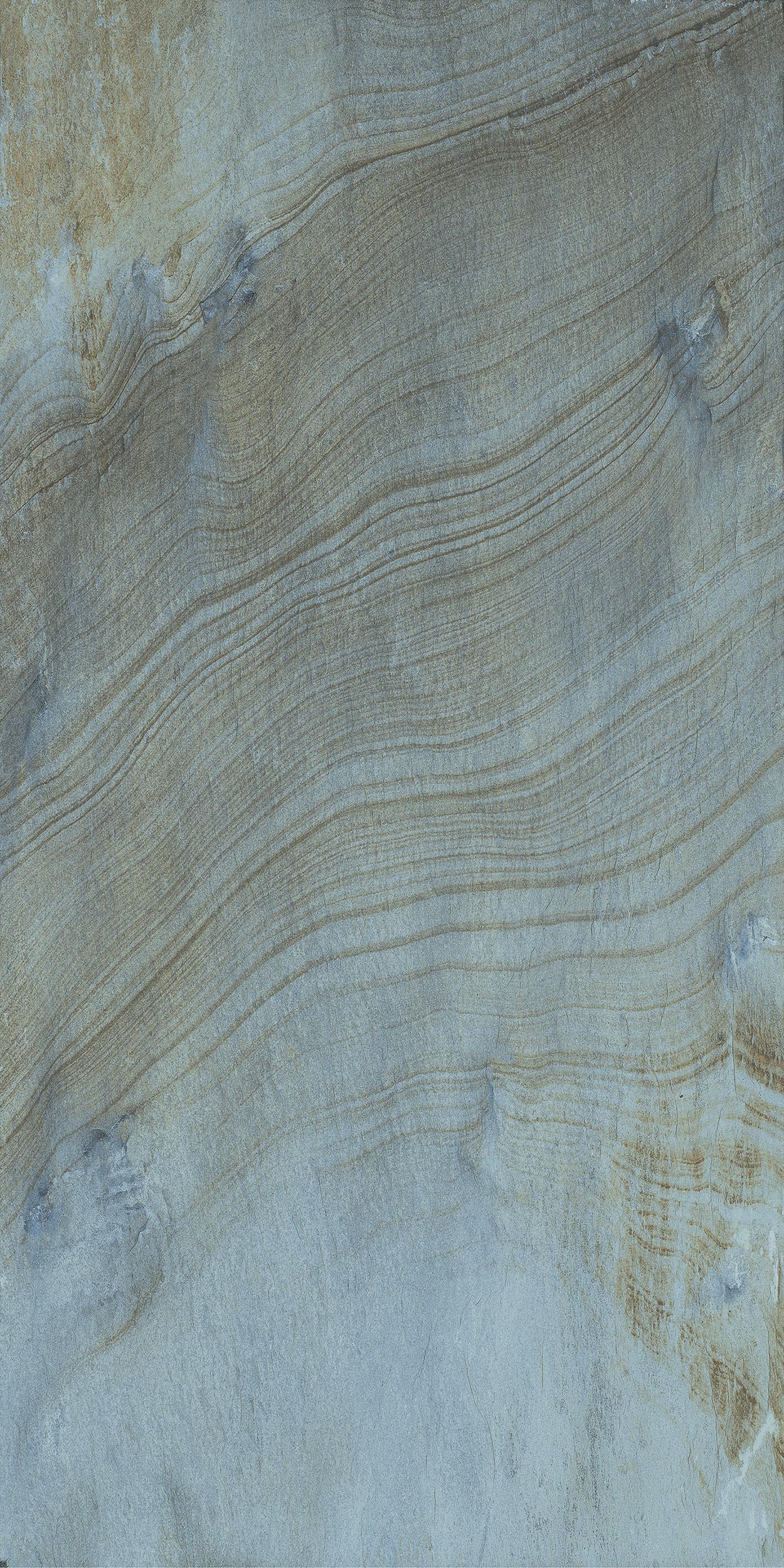 Face 4